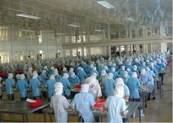 Aquatex Ben Tre tried to keep the 2011 business target