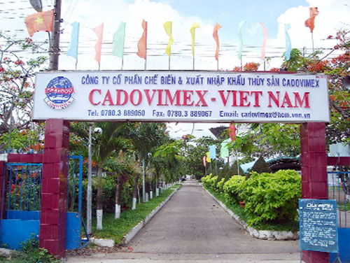 Cadovimex: Solutions to overcome difficulties