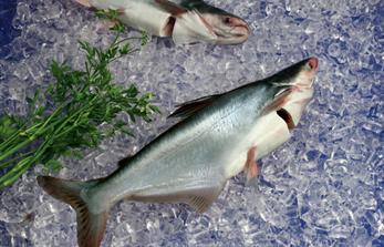 Cadovimex II: Hard to reach 2012 profit target