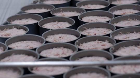 Thai giants battle with high tuna costs
