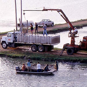 Catfish Processing Down 6 Percent from Last Year