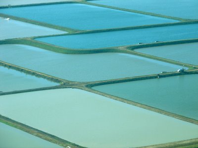 Should USDA be regulating catfish?