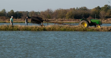 Catfish Growers Suffer as Cost of Feed Soars