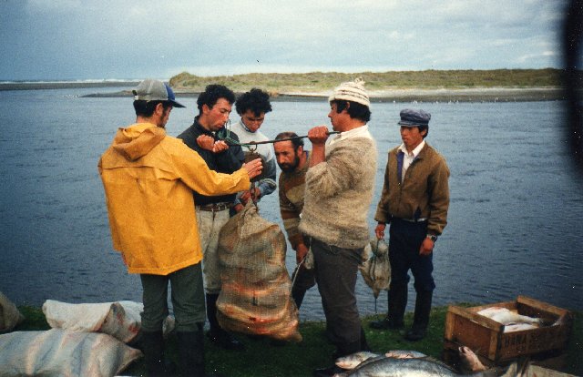 Chile: Seafood exports rise continues in the first four months