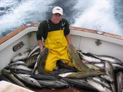 Cod renaissance pressures exporters, rivals