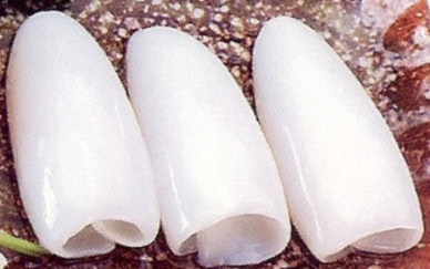 Pakistan - China offers lower price for cuttlefish: exporters fear decline in exports