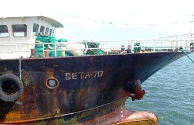 WWF calls on EU to end overfishing