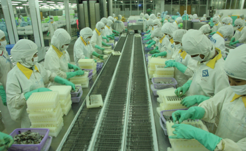 Fimex VN: Volatile shrimp prices in early 2012