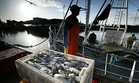 EC asked to set higher standard for ecolabeling of seafood sold in EU