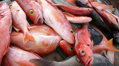 Sustainable seafood lowers costs, adds flavor