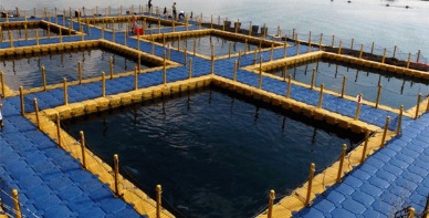 WWF releases guide to 