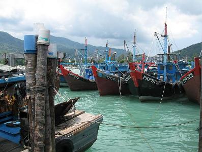 Malaysia achieves self-sufficiency in fish to satisfy 28 million