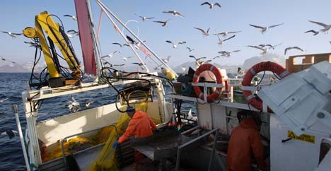 NORWAY: Seafood Exports Declined in First Quarter