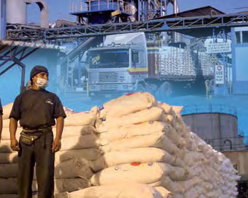 Fishmeal exports estimated at 1.3 million tonnes this year 
