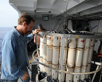 Fish caught off Fukushima still show high levels of radiation