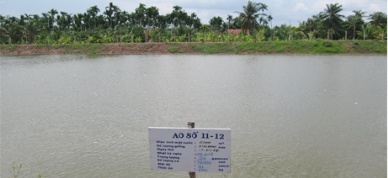 Godaco to be granted ASC certificate