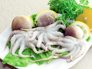 HP Seafood’s export to the EU slowed 