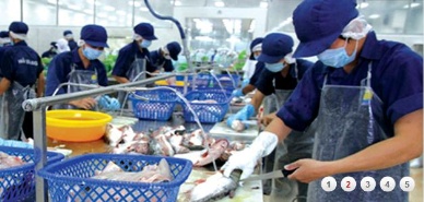 Hasaco’s pangasius export to the EU down 10 percent