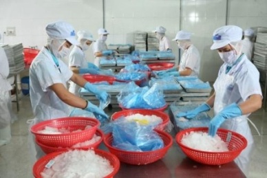 Top Pangasius exporter Hung Vuong buys seafood feed facility