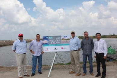 Vietnam pangasius put on ‘green list’ in WWF Sweden’s Fish Guide