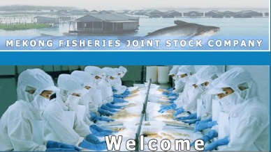 Mekongfish Co reported VND1.5 billion of profit