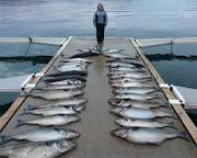 Norwegian wild caught seafood export value up 

