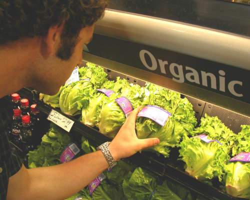 Organic Sales Bucking the Trend
