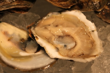 FDA warns against Oyster Bay Harbor shellfish