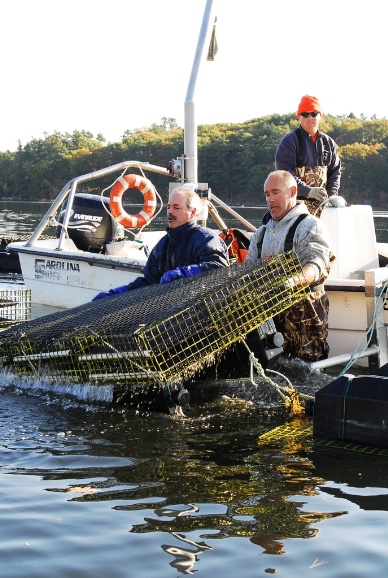 CDPH Warns Consumers Not to Eat Shellfish, Crustaceans and Other Northern Channel Islands Fish