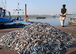 EU ban on Pakistan "politically motivated"