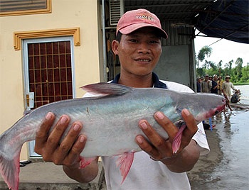 Vietnam: Mekong Delta can grow sustainably, officials say