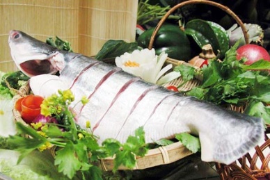 Earnings from pangasius export to Brazil to a standstill