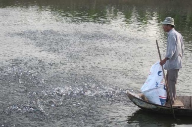 Pangasius farmers may get loans at preferential interest rates