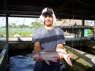 Philippines: DTI-11 promotes pangasius as food staple