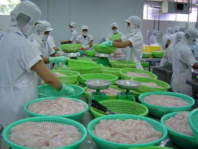 92.3 percent of seafood companies need urgent capital in Q.II/2012