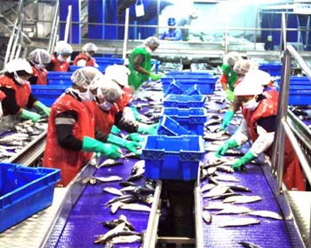 Peru: Strong rise in fish oil exports