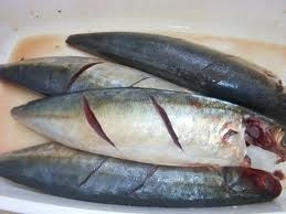 Phu Thanh Co., Ltd saw high demand for marine fish from the EU