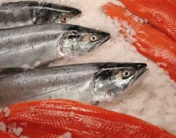 Chile: Seafood exports rise in volume and value