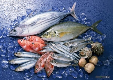 Vietnam’s raw material imports to increase