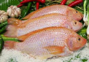 CEO: ASC process will be 