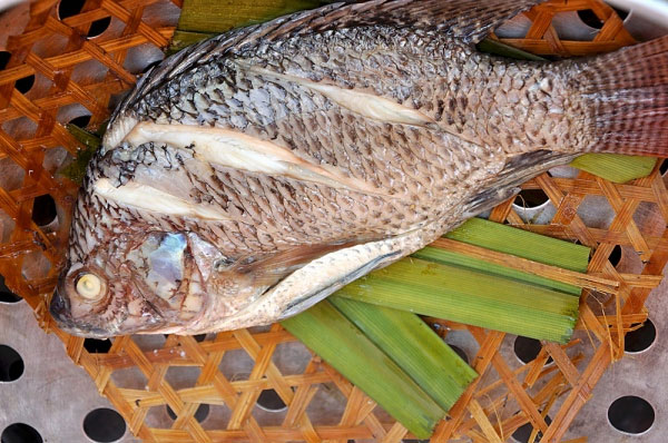 ASC Launches Accreditation for Tilapia