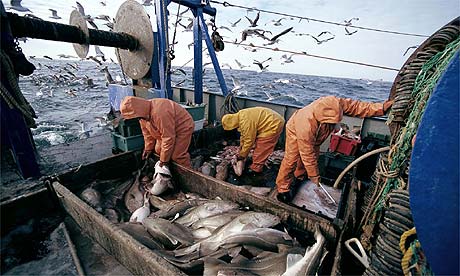 NORWAY: New ISO Standards for Fish Products