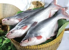 Vinafish Corp to reach US$15 million of pangasius export