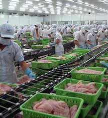 Vinh Hoan Corp plans to produce collagen