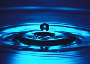 Launch of new WWF tool for businesses to asses water risk