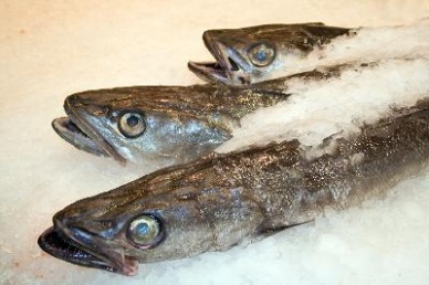 Shrimp, tuna see recovery as whitefish prices fall