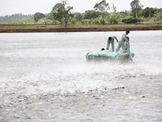2012: Vietnam fisheries industry renovates to develop
