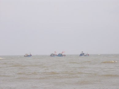 Tien Giang: Good sign for marine capture in the early months