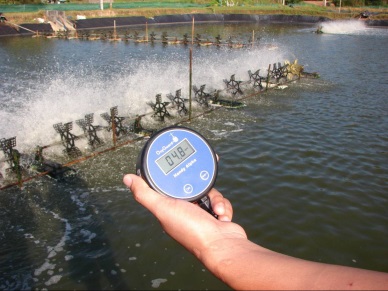 Sustainable aquaculture project compliance with European standards