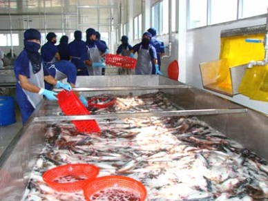 Agifish to export 33,000 MT of seafood in 2014
